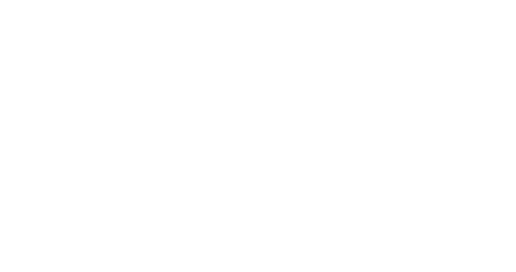 Revolution IT